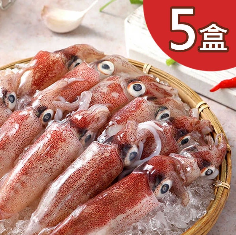 【愛上新鮮】東北角野生海捕鮮凍小卷300g，5入/組AE05003