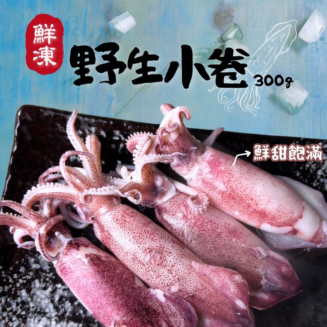 【樂廚】鮮凍野生小卷300g/包，4包組